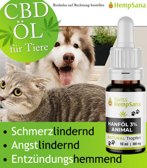 Verwendung von CBD bei Angst und Unruhe (Katze und Hund)