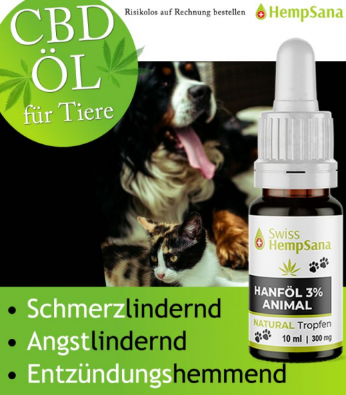 CBD Öl für Ihre Lieblinge (Apotheken Qualität)