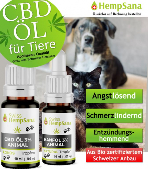 Wie Hilft CBD-Öl Ihrem Haustier ?