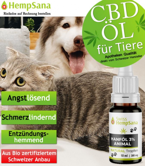 Höhere Lebensqualität für Tiere mit CBD