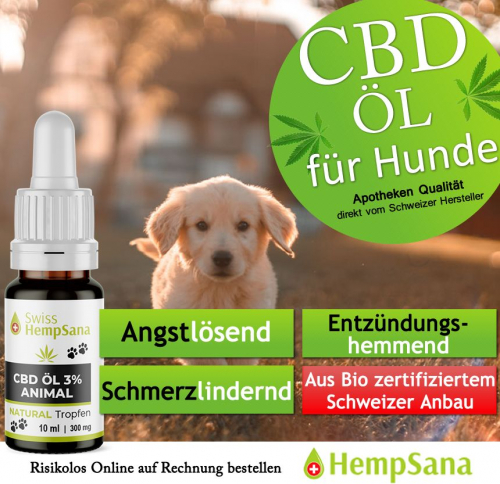 Mehr Tierwohl dank CBD (aus Schweizer Bio-Anbau)