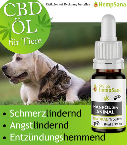 Wirkung und Nutzen von CBD Öl bei unseren Haustieren