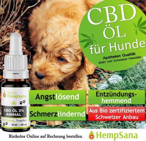 Anwendungsgebiet CBD Öl - Animal