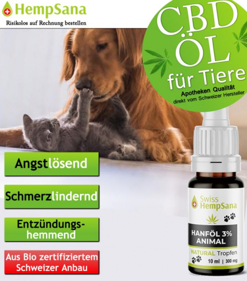 Mehr Lebensqualität bei Hunde und Katzen