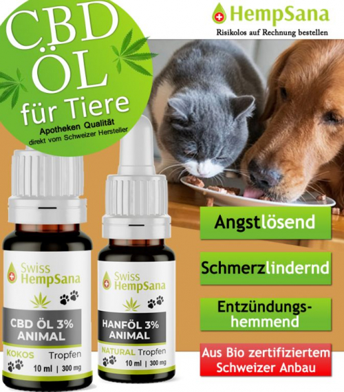 Premium CBD Öl für Vierbeiner