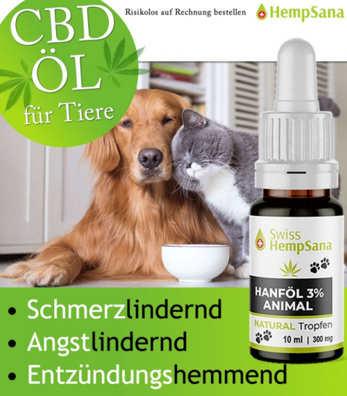 CBD bei Hunden und Katzen, die Alternative für mehr Lebensqualitä