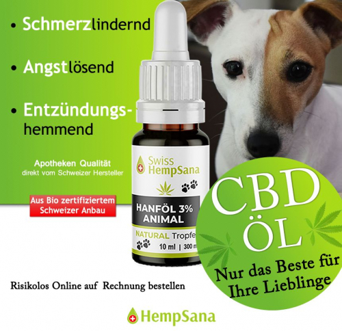 CBD aus Bio-Suisse zertifizierter Anbau für Ihren Vierbeiner