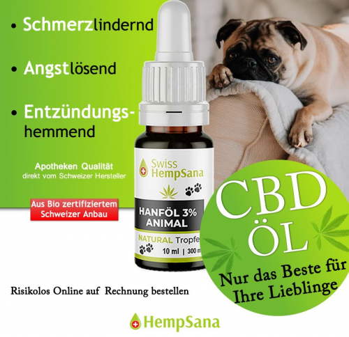 CBD Öl für Hunde