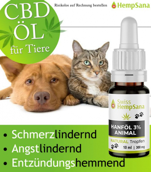 CBD Öl für Haustiere