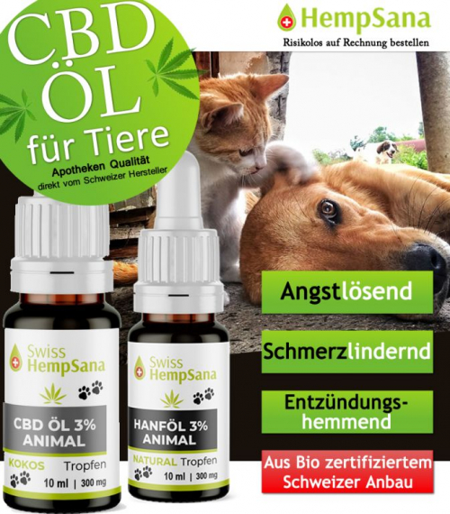 Bestes CBD-Öl für Ihre Lieblinge