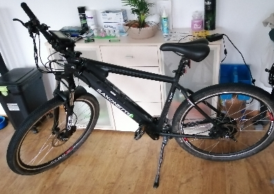 Saxonette e-sport Mountainbike