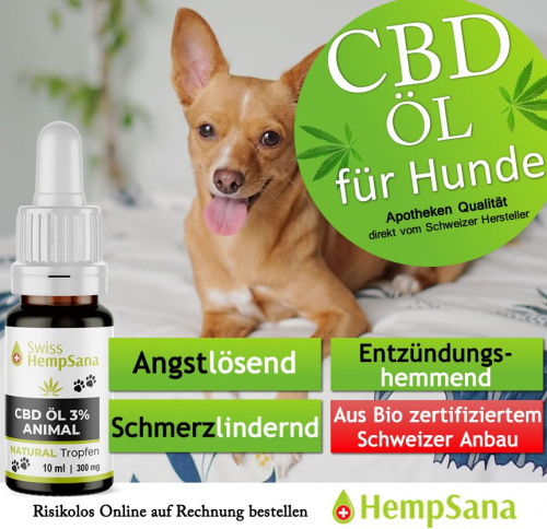 Hempsana - Animal CBD-Öl für Hunde