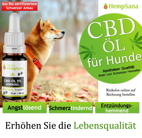 Hempsana CBD Öl für Ihren Hund