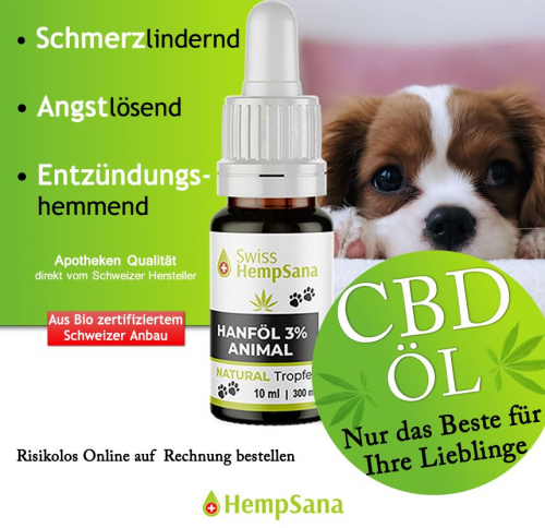 Wie wirkt CBD beim Hund ?