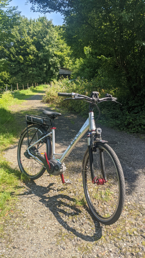 E Bike Sinus BT 80 (frisch aus dem Service)