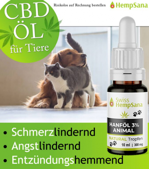 Hempsana CBD Öl für Ihren Hund und Katze