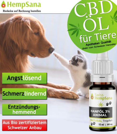 CBD Öl - Gesundheit für Tiere