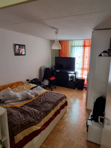 Gemütliche 3 1/2 Zimmer Wohnung per 1. November 2021 zu Vermieten