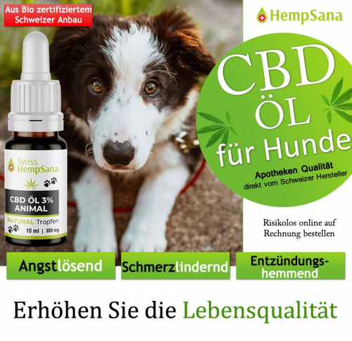 CBD Öl - Gesundheit für Hunde