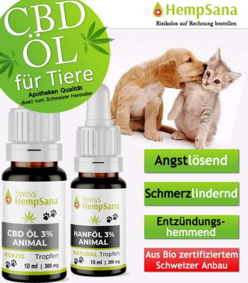 Dank CBD, mehr Lebensqualität für Haustiere