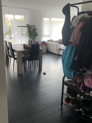 Suche nachmieter für 4 1/2 Garten Wohnung haustiere erlaubt!