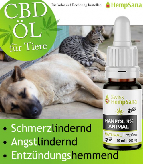 Biologisch Angebautes Schweizer CBD Öl für Tiere