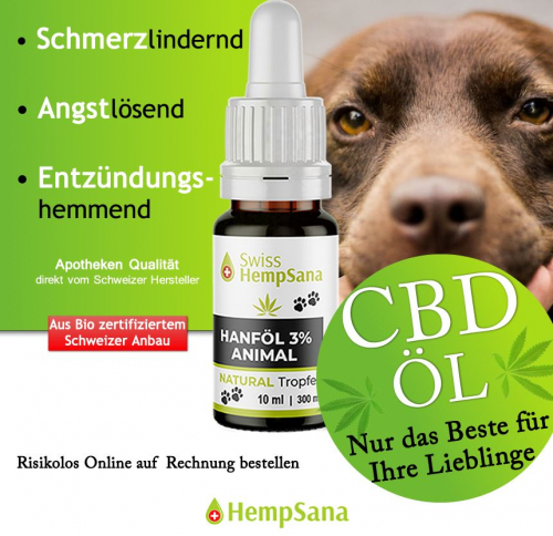 Hochwertiges CBD Öl für Ihren Liebling (Bio-Suisse zertifizierter