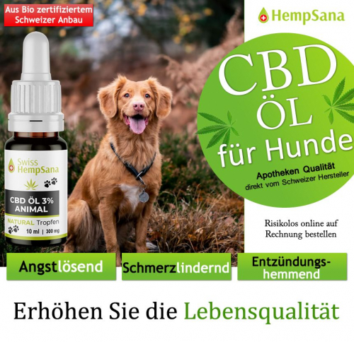 CBD Öl - Gesundheit für Hunde