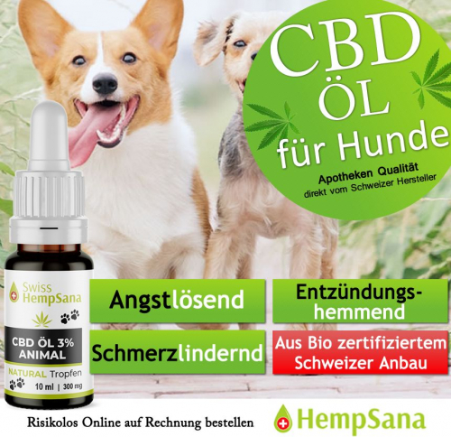 Wie Hilft CBD-Öl ?