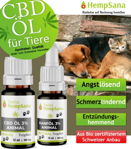 CBD gegen Schmerzen bei Tieren