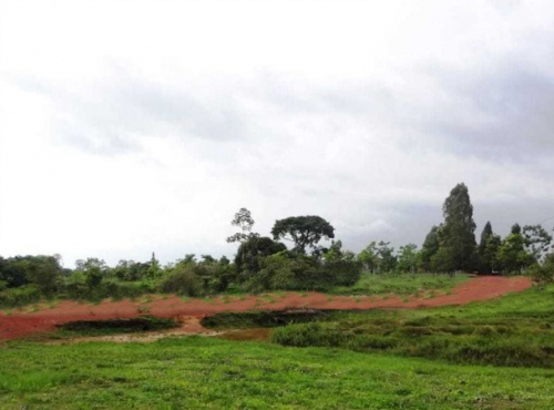 Brasilien riesengrosse 7"400 Ha Farm - Sao Joao do Baliza - Rorai