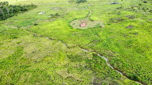 Brasilien 1"000 Ha Tiefpreis - Grundstück mit Rohstoffen Region
