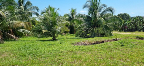 Brasilien 60 Ha Farm Tiefpreis-Grundstück in der Nähe von Rio Pre