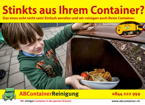 Containerreinigung Schwyz Ingenbohl Sisikon Flüelen Steinen Satte