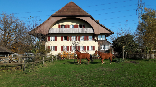 Wohnung auf dem Bauernhof