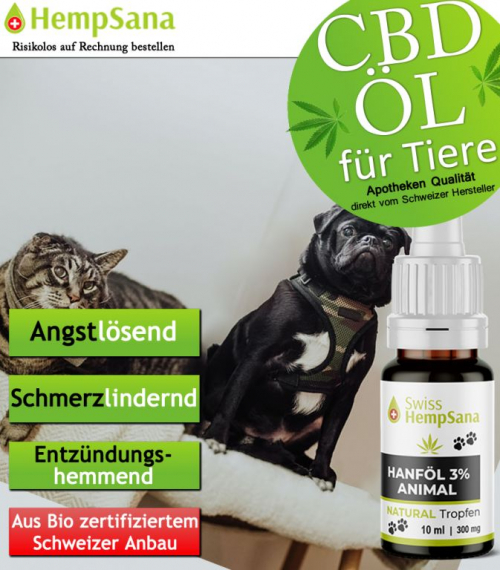CBD Öl - Gesundheit für Hunde und Katzen