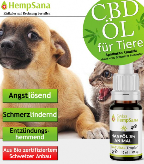 CBD gegen Schmerzen bei Haustieren