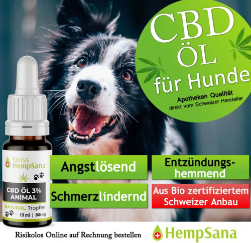 CBD Öl für den Hund