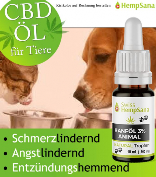 Hempsana CBD Öl für Ihre Vierbeiner / Haustiere