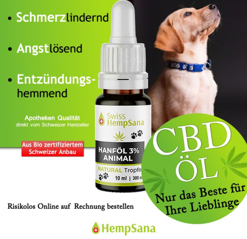 CBD Öl für Ihre Lieblinge (Apotheken Qualität)