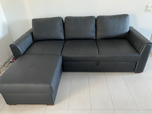 Schlafsofa Echtleder