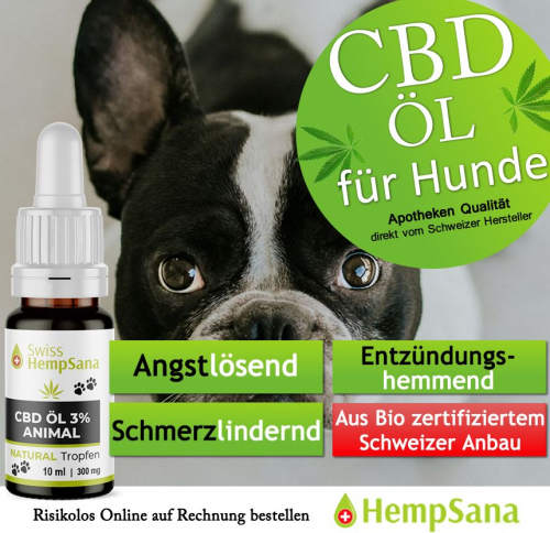 Premium CBD Öl für Hunde (Bio Suisse zertifizierter Anbau)