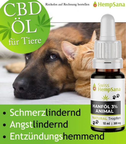 CBD Öl für unsere Haustiere