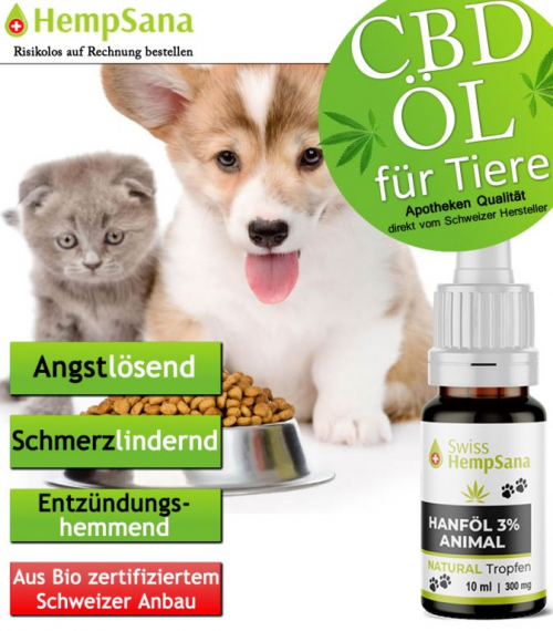 CBD gegen Ängste (beim Hund und Katze)