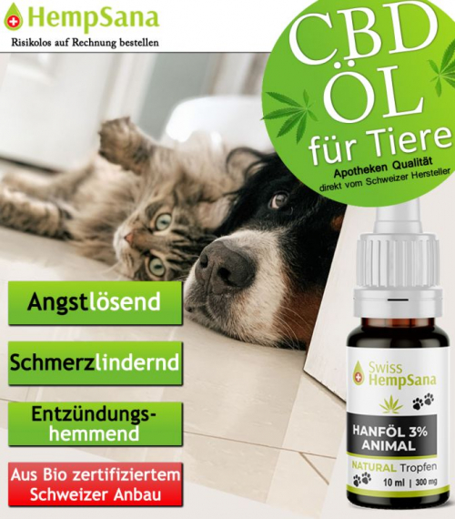 Gesundheit und Wohlbefinden von Tiern mit CBD unterstützen