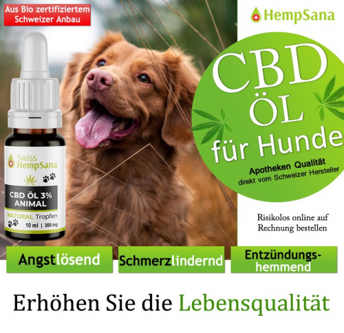 CBD Öl zur Verbesserung der allgemeinen Gesundheit und Wohlbefind