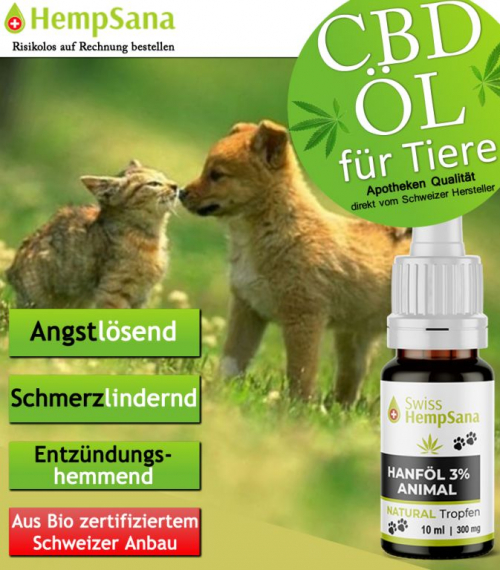 CBD für Tiere bei chronischen Entzündungen und Schmerzen