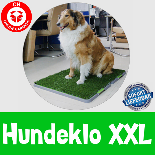 Hundewc Welpentoilette Hundetoilette Hundeklo Welpen Hunde Klo XL