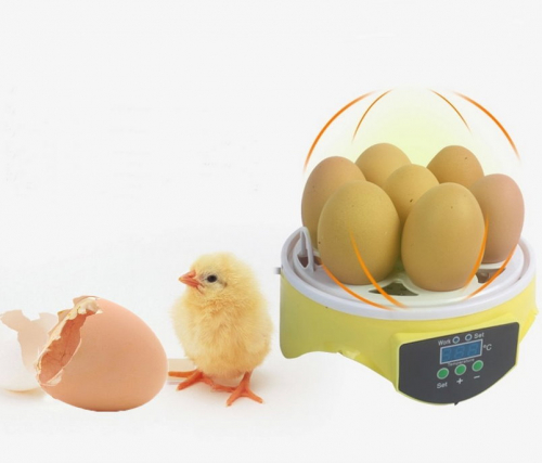 Mini Eierbrüter 7 Eier Geflügelbrüter Maschine Incubator Ei