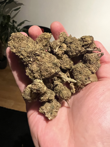 1kg CBD Blüten